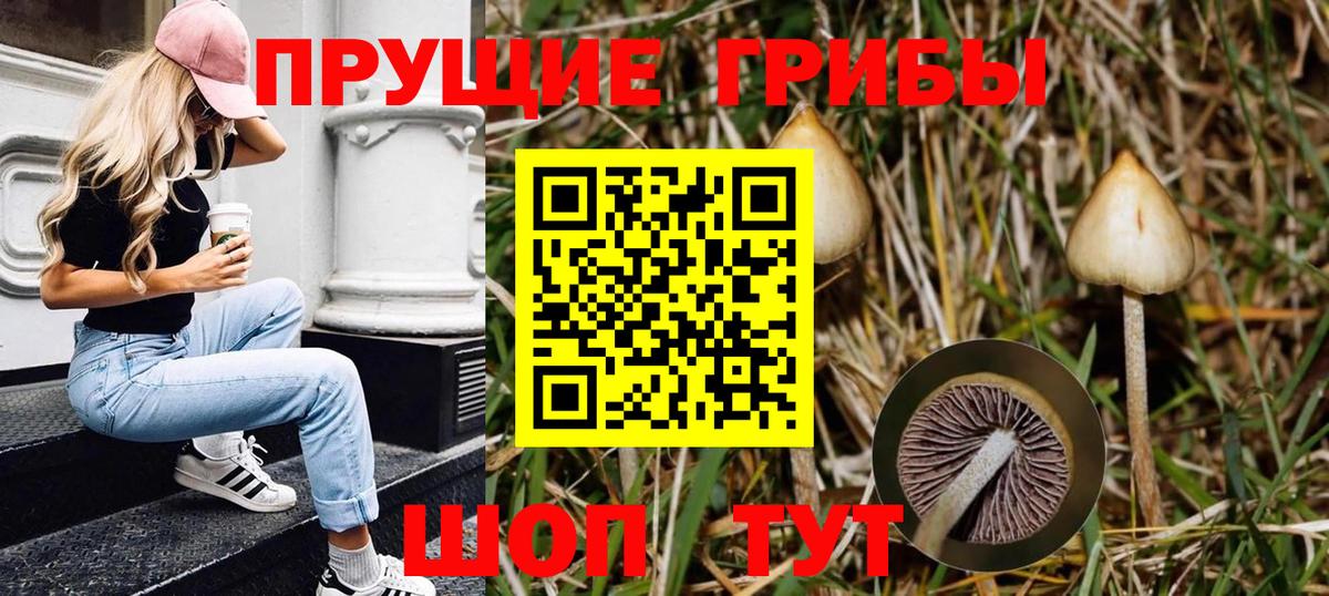 Галлюциногенные грибы прущие грибы Воркута