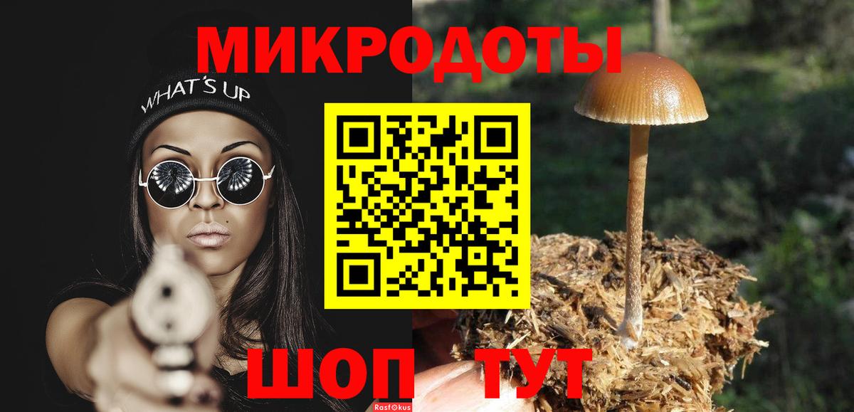 Галлюциногенные грибы Cubensis  Вход с VPN  Воркута  Галлюциногенные грибы мицелий 